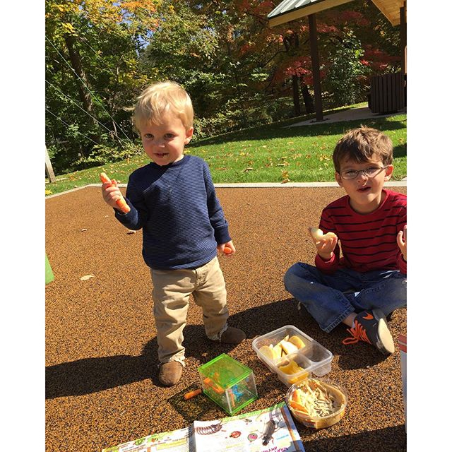 perfect fall day for a picnic and bug catching