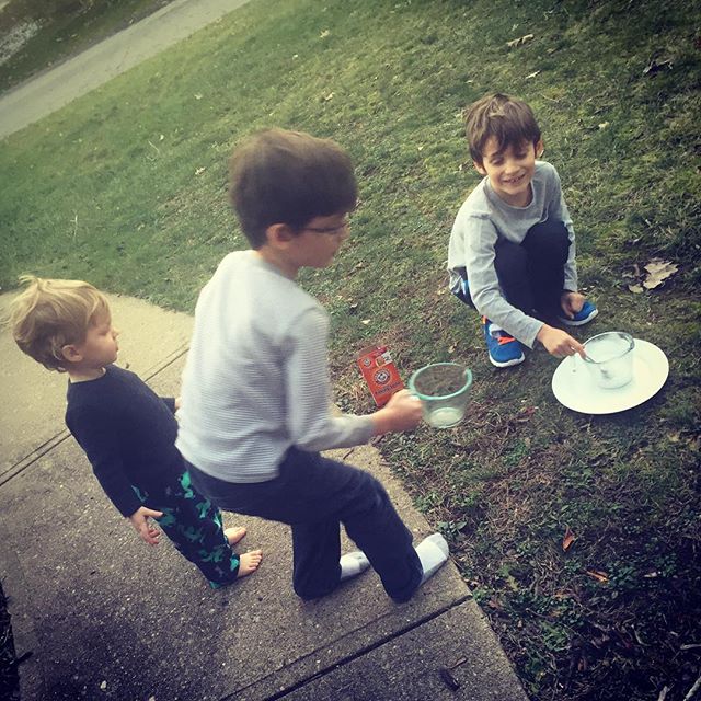front yard mad scientists