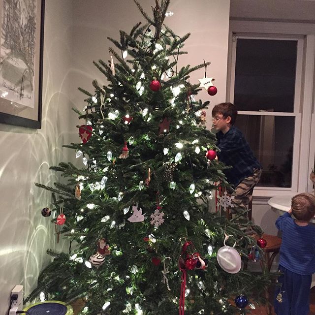 Noah decorated our entire tree with a little help from his assistant, "Daby" Rainey.