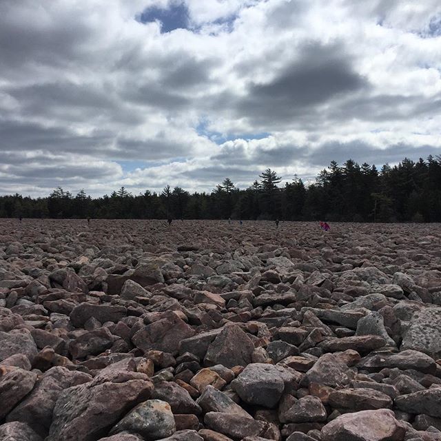 Boulder Field at Hickory Run State Park