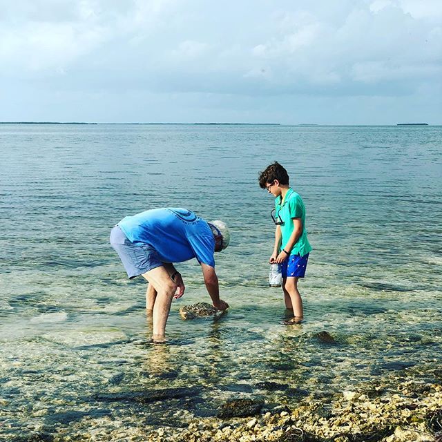 searching for sea creatures