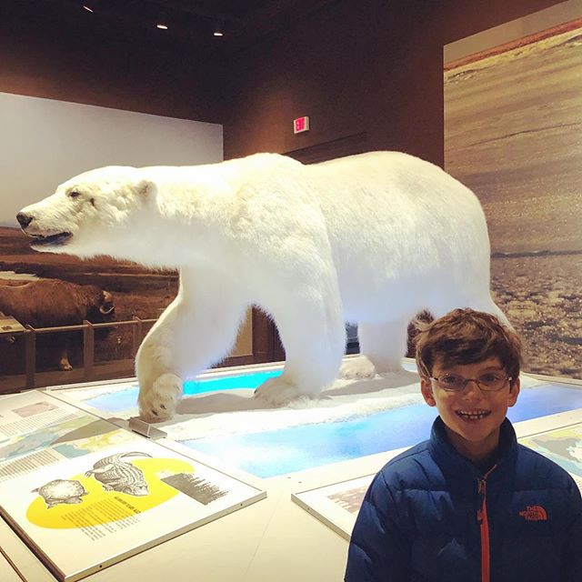 Noey has always loved polar bears.